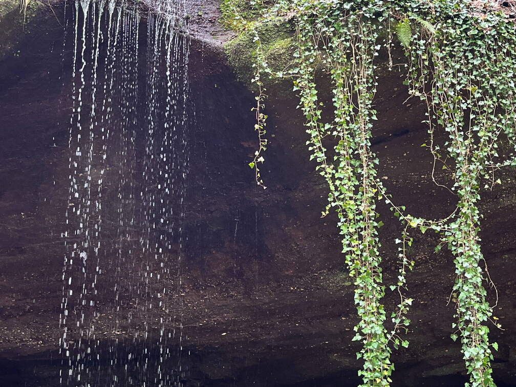 24-02-28 11-43-16 8771